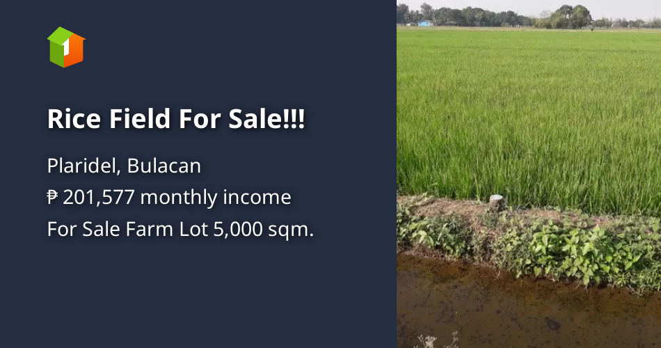 Rice Field For Sale!!! [Lots 🚜] (August 2022) in Plaridel, Bulacan for sale
