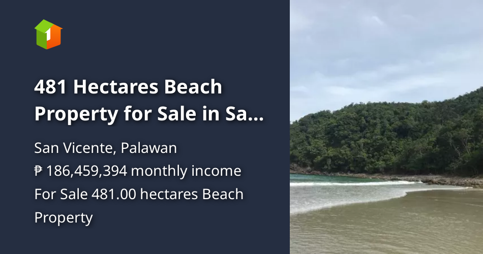 481 Hectares Beach Property for Sale in San Vicente Palawan [Beach