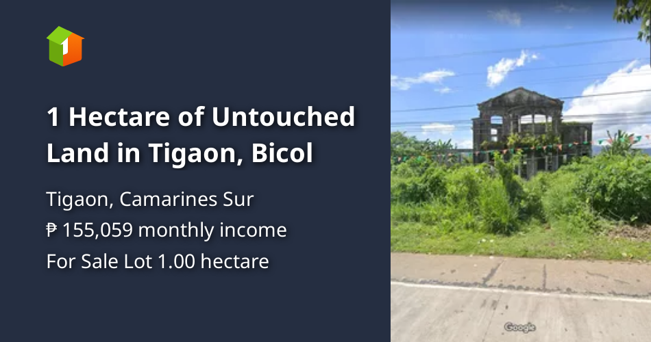 1 Hectare of Untouched Land in Tigaon, Bicol [Lot 🚜] (December 2023) in