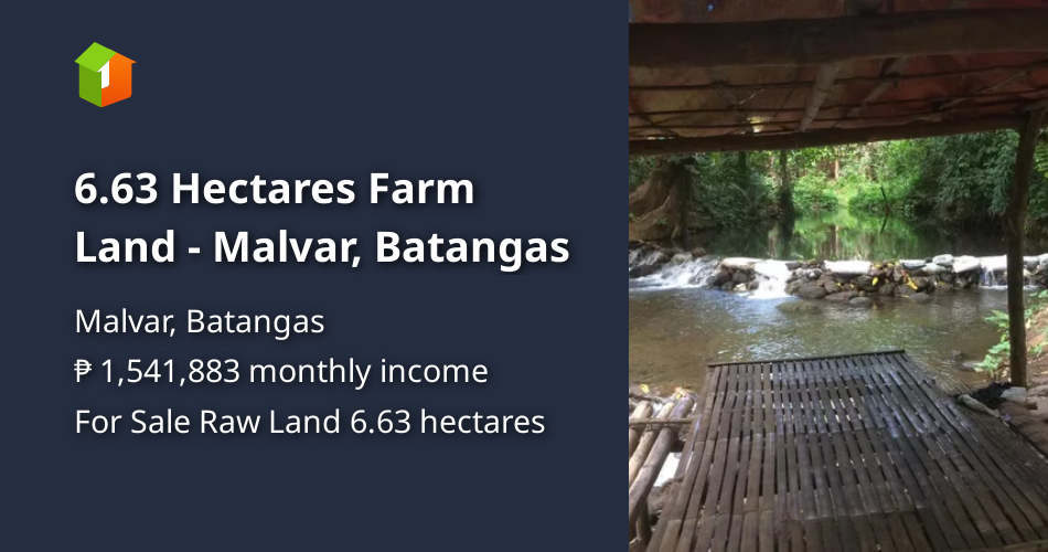 6.63 Hectares Farm Land Malvar, Batangas [Lot 🚜] (September 2024) in