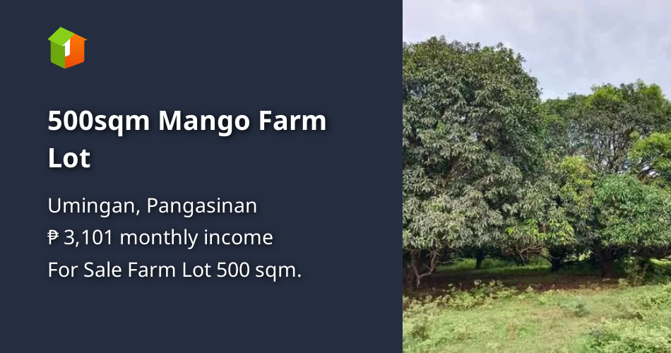 500sqm Mango Farm Lot [Lot 🚜] (August 2024) in Umingan, Pangasinan for sale