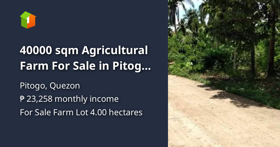 40000 sqm Agricultural Farm For Sale in Pitogo Quezon [Lots 🚜] (January