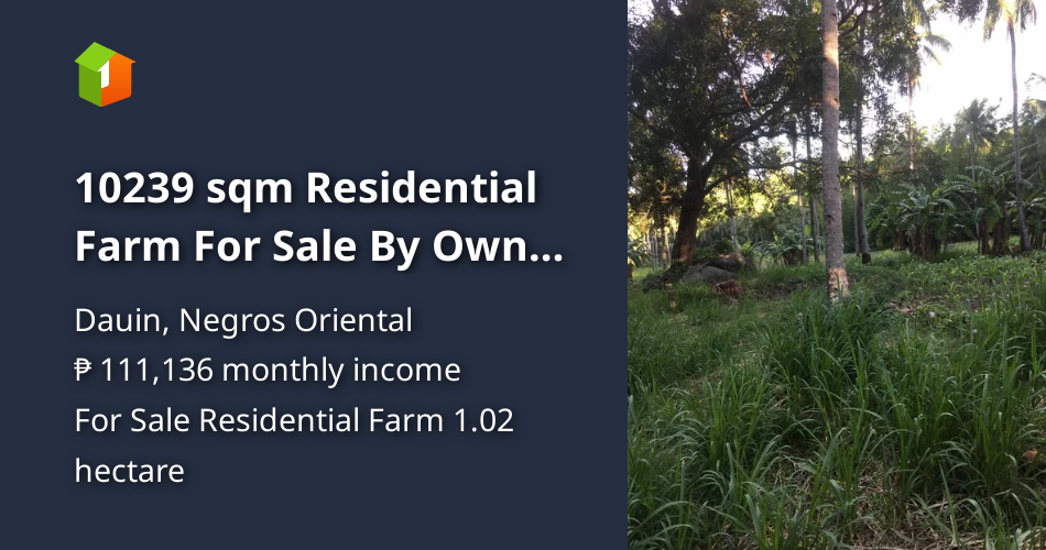 10239 sqm Residential Farm For Sale By Owner in Dauin Negros Oriental