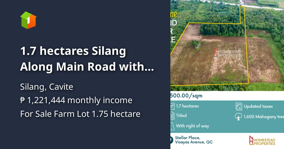 1.7 hectares Silang Along Main Road with Right of Way Land for Sale [Lot 🚜] (January 2023) in