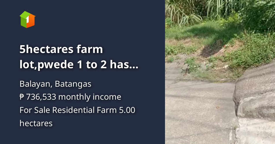 5hectares farm lot,pwede 1 to 2 has mag cut.950per sqm [Lot 🚜] (August
