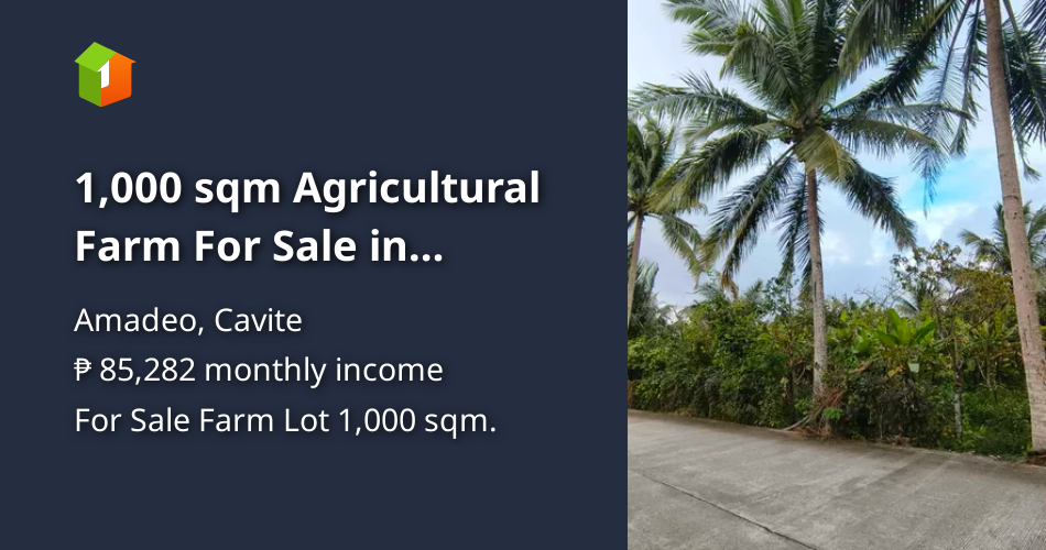 1,000 sqm Agricultural Farm For Sale in Amadeo Cavite [Lot 🚜] (February
