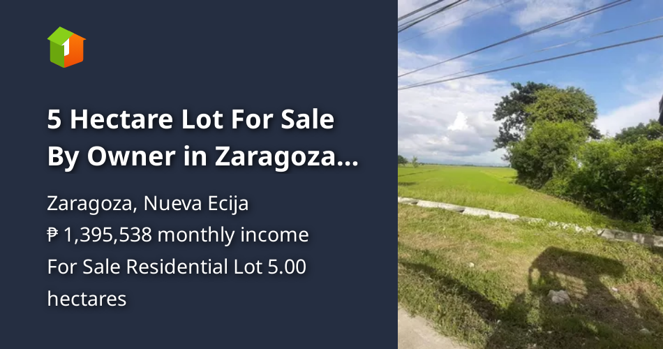 5 Hectare Lot For Sale By Owner in Zaragoza Nueva Ecija [Lot 🚜