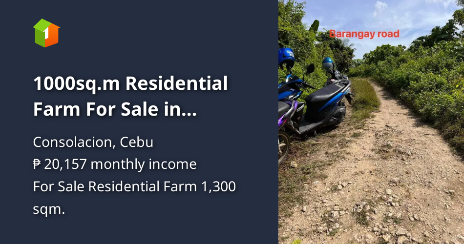 1000sq.m Residential Farm For Sale in Consolacion Cebu [Lot 🚜] (June