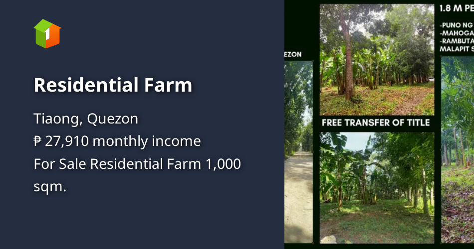 Residential Farm [Lot 🚜] (January 2024) in Tiaong, Quezon for sale