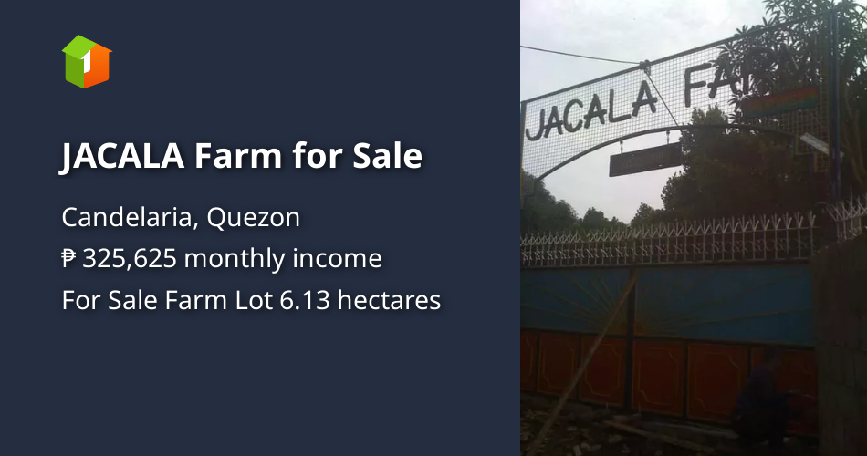JACALA Farm for Sale [Lot 🚜] (January 2022) in Candelaria, Quezon for sale FSBO / For Sale by