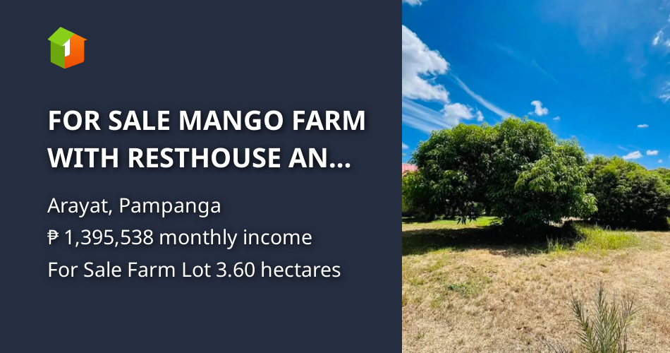 FOR SALE MANGO FARM WITH RESTHOUSE AND RICEFIELD IN PAMPANGA IDEAL FOR ...