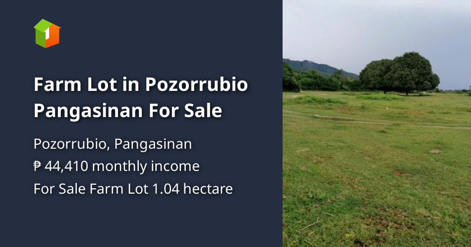Farm Lot in Pozorrubio Pangasinan For Sale [Lot 🚜] (July 2021) in Pozorrubio, Pangasinan for sale