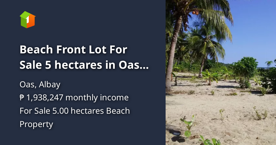 Beach Front Lot For Sale 5 hectares in Oas Albay [Beach Property 🏖️