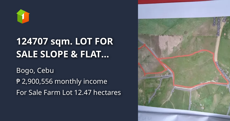 124707 sqm. LOT FOR SALE SLOPE & FLAT TERRAIN in Bogo City, Cebu. [Lot 🚜] (November 2023) in