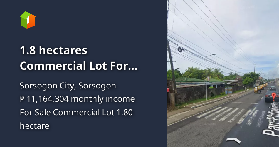 1.8 hectares Commercial Lot For Sale in Sorsogon City [Lot 🚜] (August