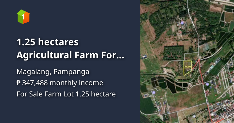 1.25 hectares Agricultural Farm For Sale in Magalang Pampanga [Lot 🚜