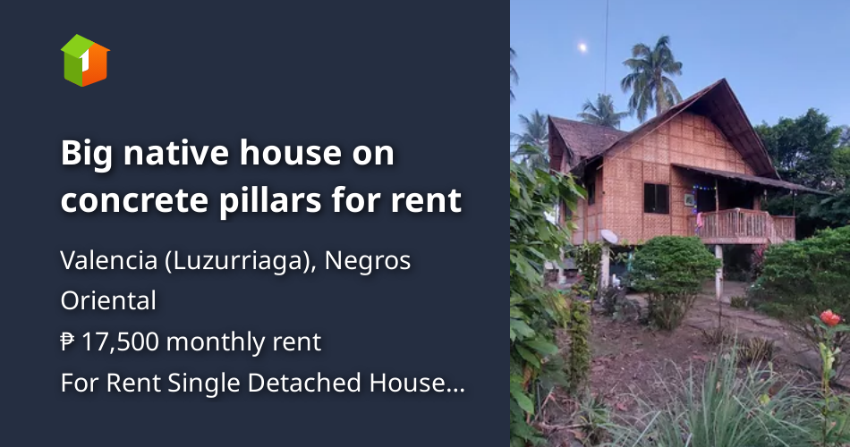 Big native house on concrete pillars for rent [House and Lot 🏘️] (May