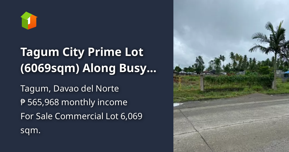 Tagum City Prime Lot (6069sqm) Along Busy Road and Commercial District