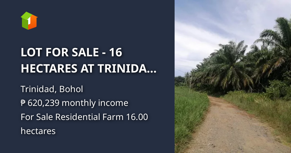 LOT FOR SALE 16 HECTARES AT TRINIDAD, BOHOL PHILIPPINES [Lot 🚜] (August 2023) in Trinidad