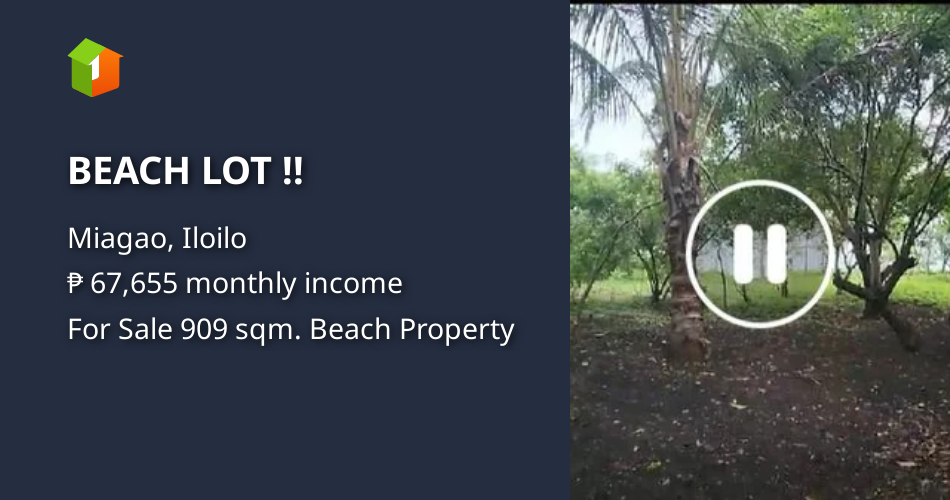 BEACH LOT !! [Beach Property 🏖️] (February 2024) in Miagao, Iloilo for sale