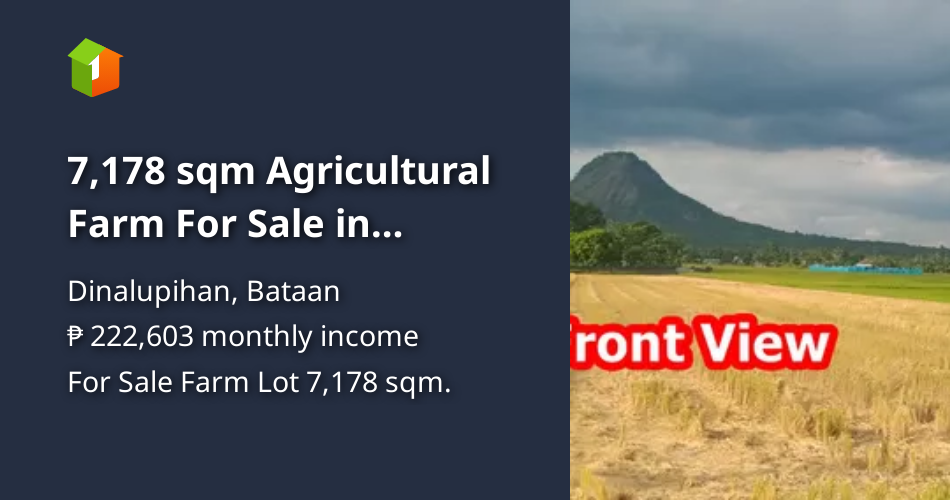 7,178 sqm Agricultural Farm For Sale in Dinalupihan Bataan [Lots 🚜