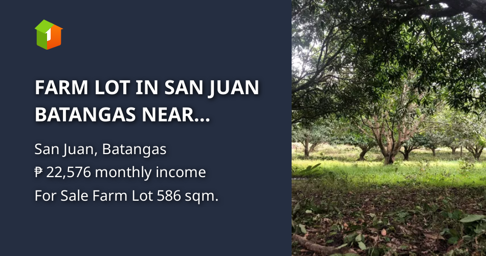 FARM LOT IN SAN JUAN BATANGAS NEAR BEACHES [Lot 🚜] (July 2024) in San