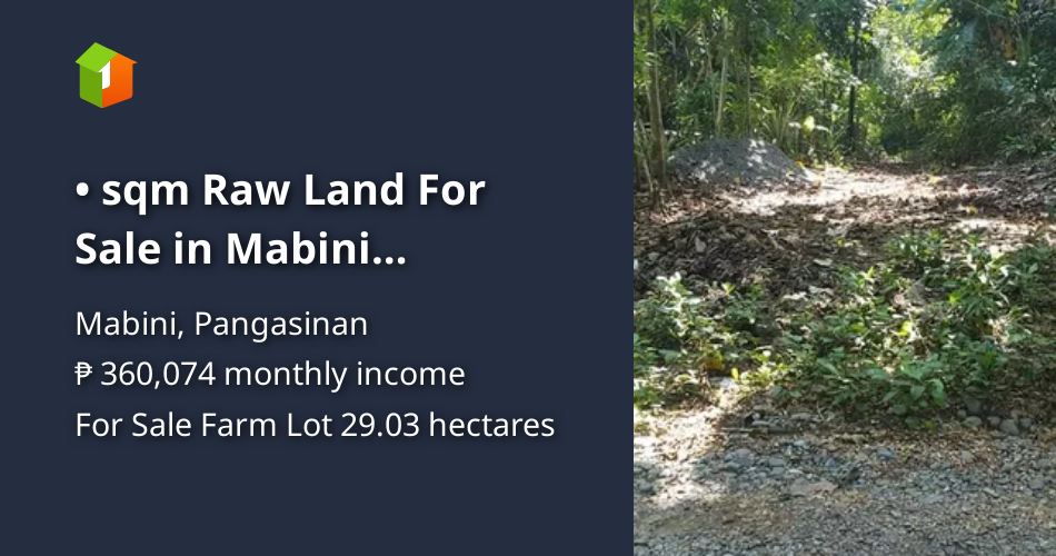 290271 sqm Raw Land For Sale in Mabini Pangasinan [Lot 🚜] (July 2024