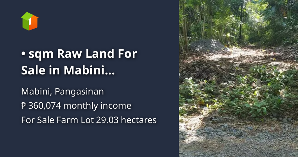 290271 Sqm Raw Land For Sale In Mabini Pangasinan Lot 🚜 July 2024 In Mabini Pangasinan For Sale 4108