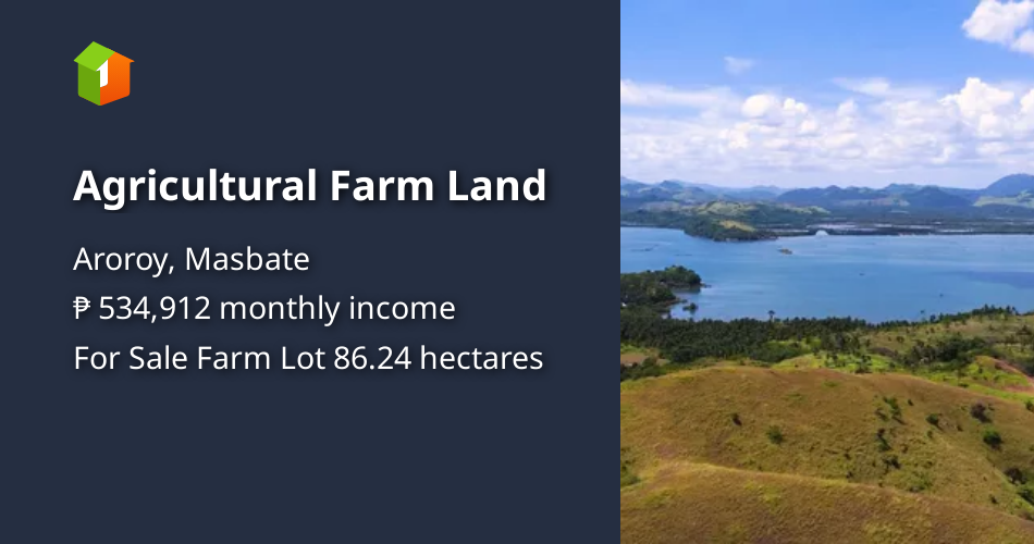 Agricultural Farm Land [Lot 🚜] (March 2023) in Aroroy, Masbate for sale