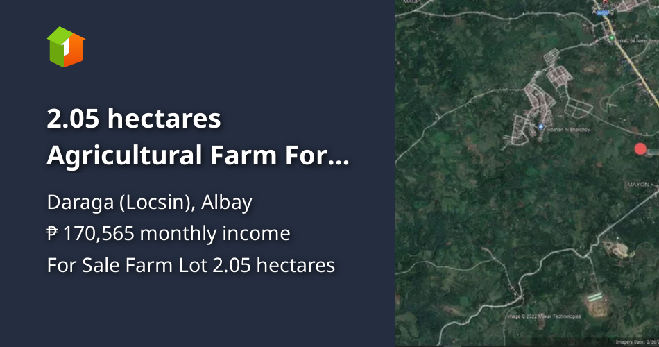 2.05 hectares Agricultural Farm For Sale in Daraga (Locsin) Albay [Lot