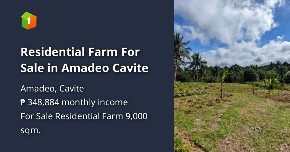 Residential Farm For Sale in Amadeo Cavite [Lot 🚜] (January 2023) in