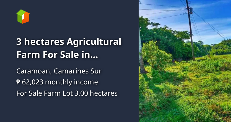 3 hectares Agricultural Farm For Sale in Caramoan Camarines Sur [Lot 🚜