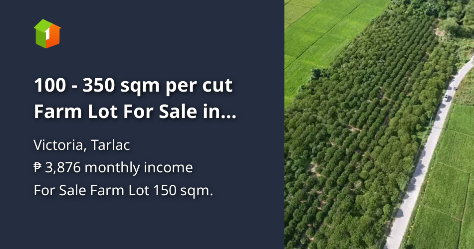 100 - 350 sqm per cut Farm Lot For Sale in Victoria Tarlac [Lots 🚜 ...