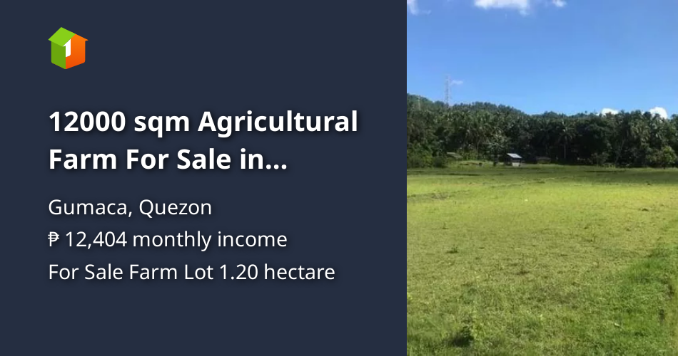 12000 sqm Agricultural Farm For Sale in Gumaca Quezon [Lot 🚜] (May 2023