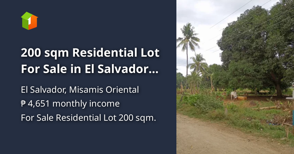 200 sqm Residential Lot For Sale in El Salvador Misamis Oriental [Lot 🚜