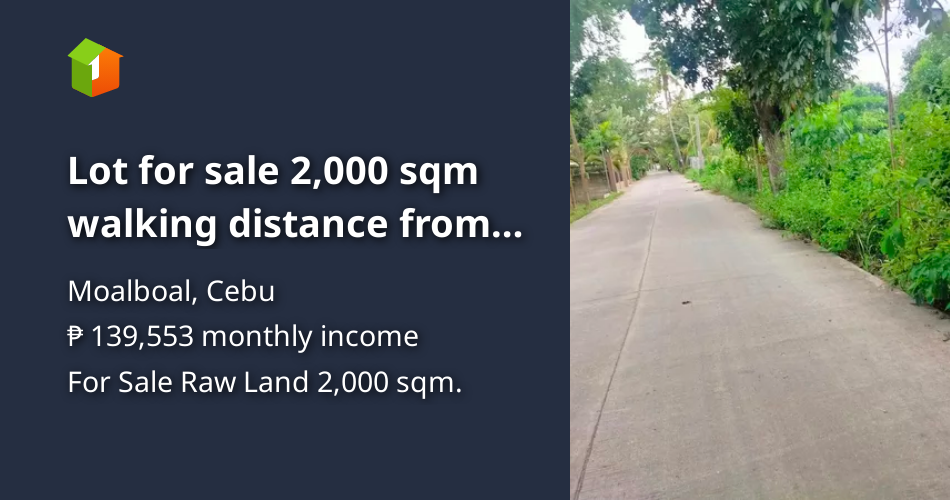 Lot for sale 2,000 sqm walking distance from Panagsama Beach Moalboal