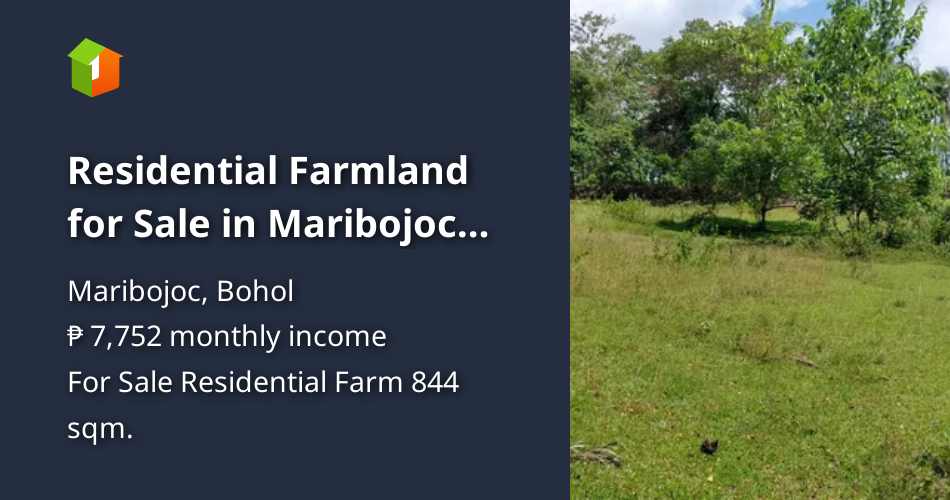 Residential Farmland for Sale in Maribojoc Bohol [Lot 🚜] (August 2024