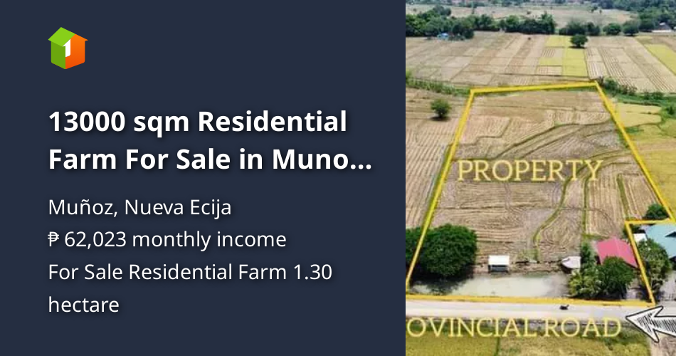 13000 sqm Residential Farm For Sale in Munoz Nueva Ecija [Lot 🚜] (July