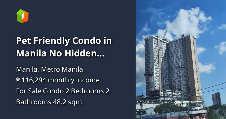 Pet Friendly Condo in Manila No Hidden Charges 25K Monthly for 2BR