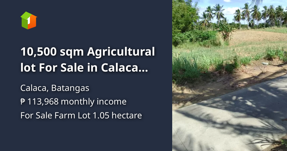 10,500 sqm Agricultural lot For Sale in Calaca Batangas [Lot 🚜