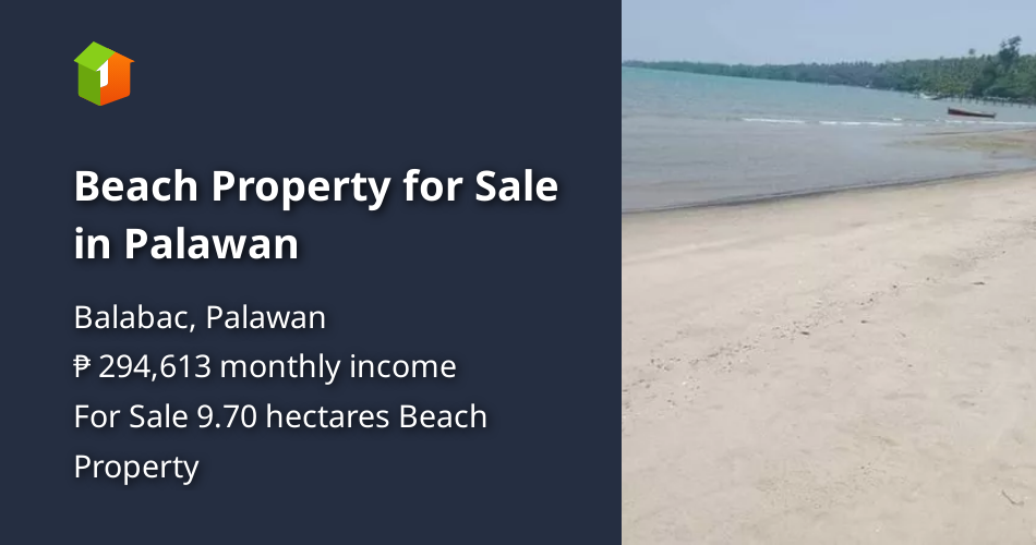 Beach Property for Sale in Palawan [Beach Property 🏖️] (September 2024