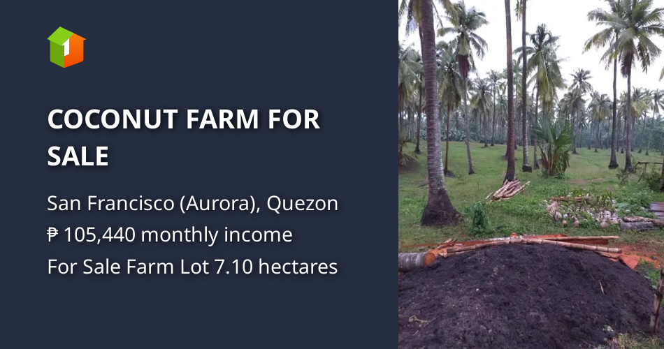 COCONUT FARM FOR SALE [Lot 🚜] (September 2024) in San Francisco (Aurora