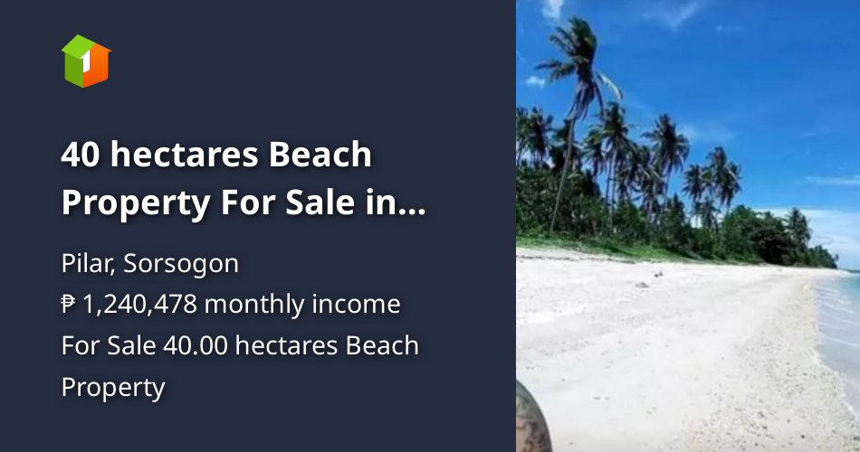 40 hectares Beach Property For Sale in Pilar Sorsogon [Beach Properties ...