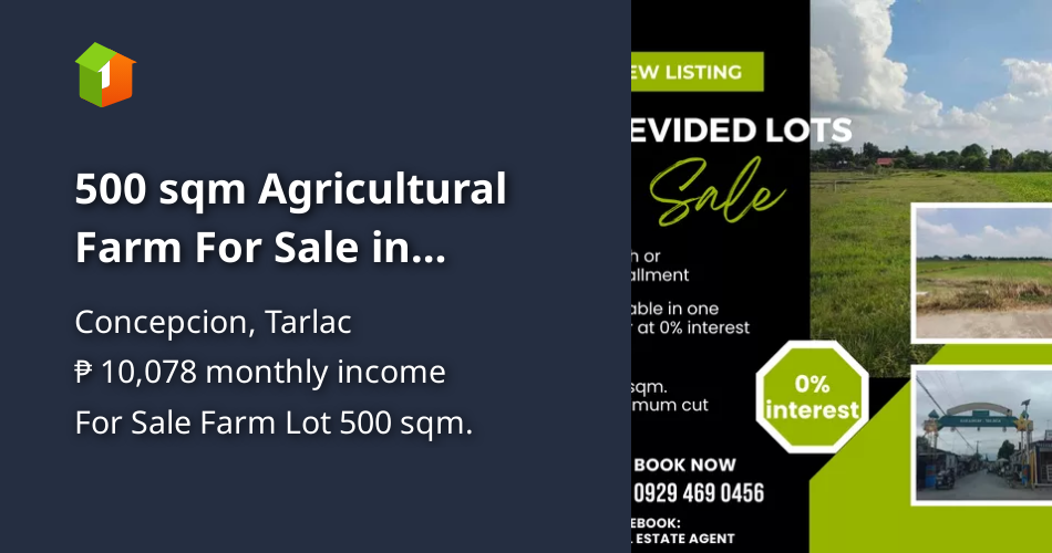 500 sqm Agricultural Farm For Sale in Concepcion Tarlac [Lot 🚜