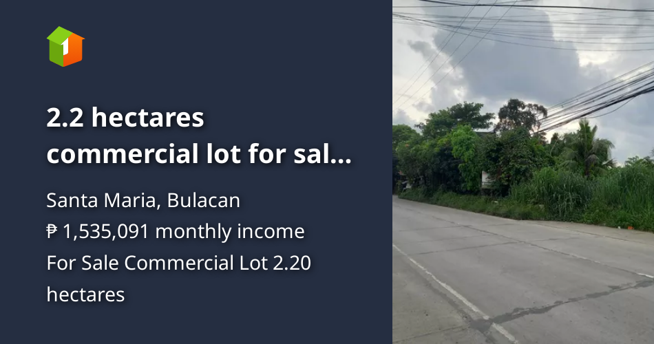 2.2 hectares commercial lot for sale Sta.Maria Bulacan along highway