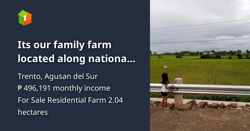 Its our family farm located along national high way. [Lots 🚜 ...