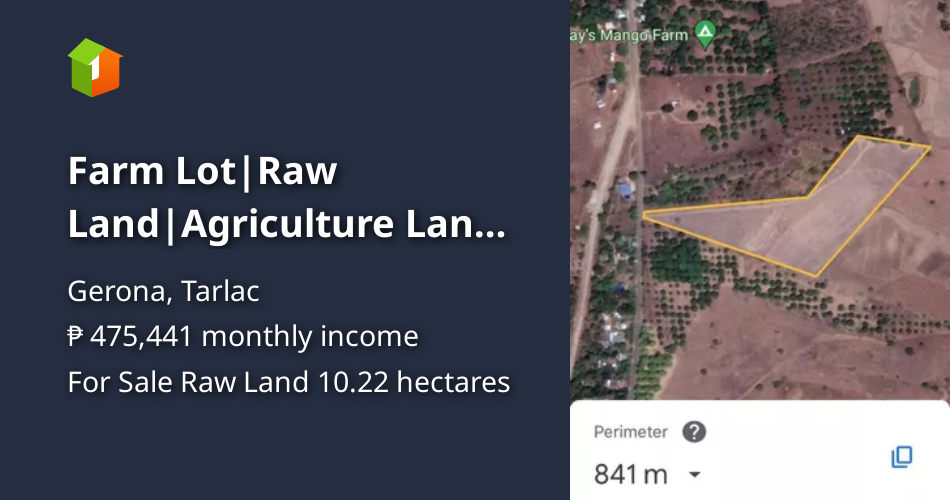 Farm LotRaw LandAgriculture Land For Sale in Gerona Tarlac [Lot 🚜