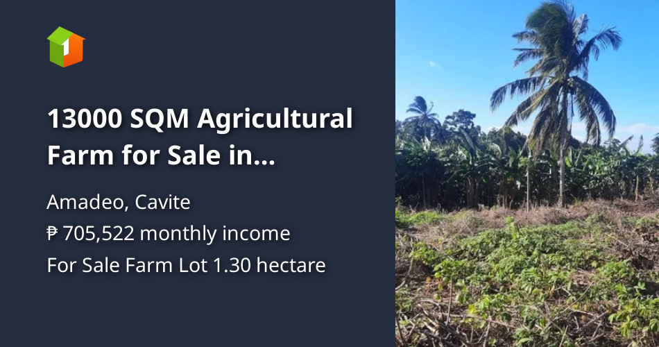 13000 SQM Agricultural Farm for Sale in Amadeo Cavite [Lot 🚜] (April