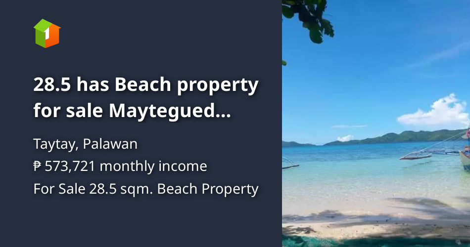 28.5 has Beach property for sale Maytegued beach,taytay Palawan [Beach