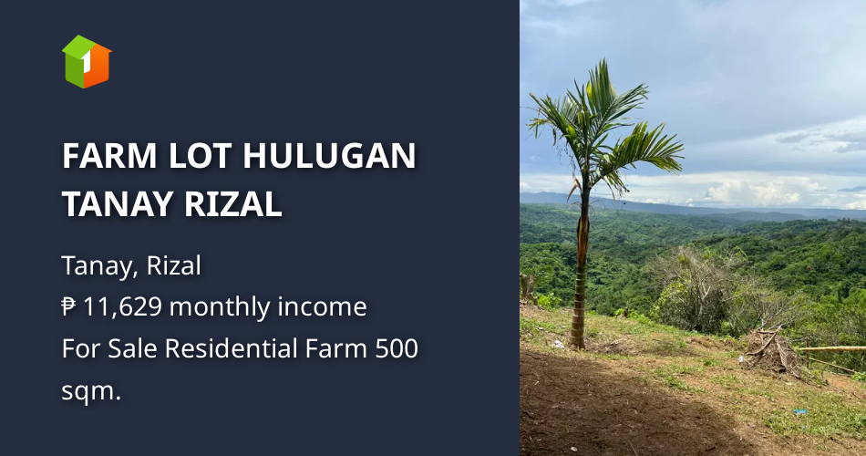 FARM LOT HULUGAN TANAY RIZAL [Lots 🚜] (September 2024) in Tanay, Rizal ...
